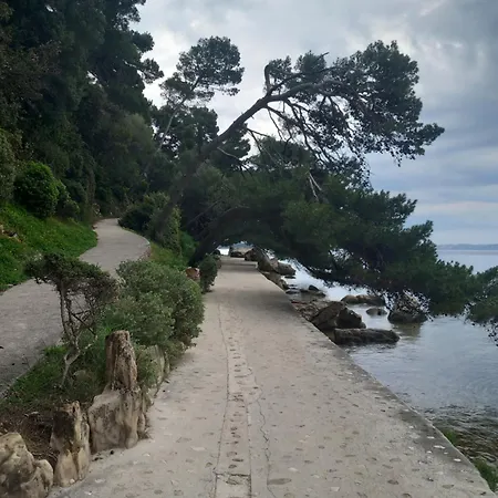 Apartment Anica Kovacic