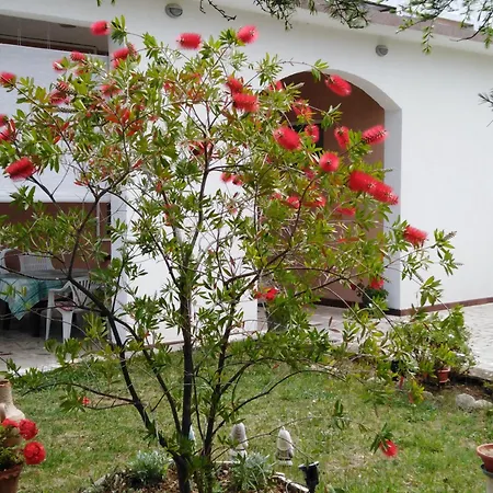 Appartamento Anica *